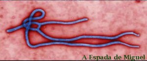 virus-ebola