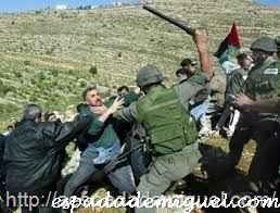 violencias-contra-palestinos