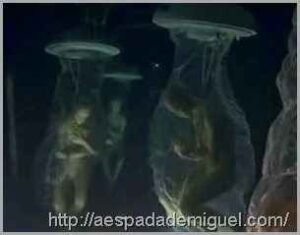 Apocalipse 9 - Gafanhotos ou Alienígenas Greys ? 7 experiencias-alienigenas-com-humanos