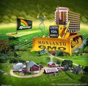 monopolio-sementes-monsanto-america