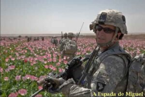 soldados-americanos-guardando-campos-papoula.jpg