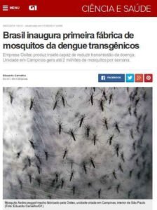Vírus Zika, uma criação da fundação Rockefeller (illuminati) 6 denge-transgenicos-viru-zica