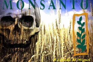 monsanto-perigo-agricultura-tradicional