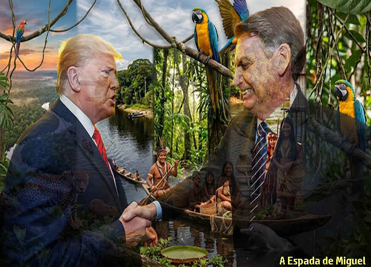 O Bolsonarismo e a conspiração contra o meio ambiente brasileiro 2 bolsonaro em conjunto trump eua explorar amazonia