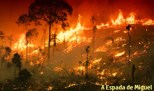 O Bolsonarismo e a conspiração contra o meio ambiente brasileiro 6 dia do fogo em pleno governo bolsonaro